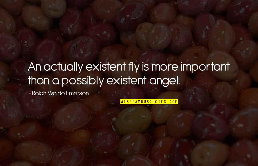 Existent Quotes By Ralph Waldo Emerson: An actually existent fly is more important than