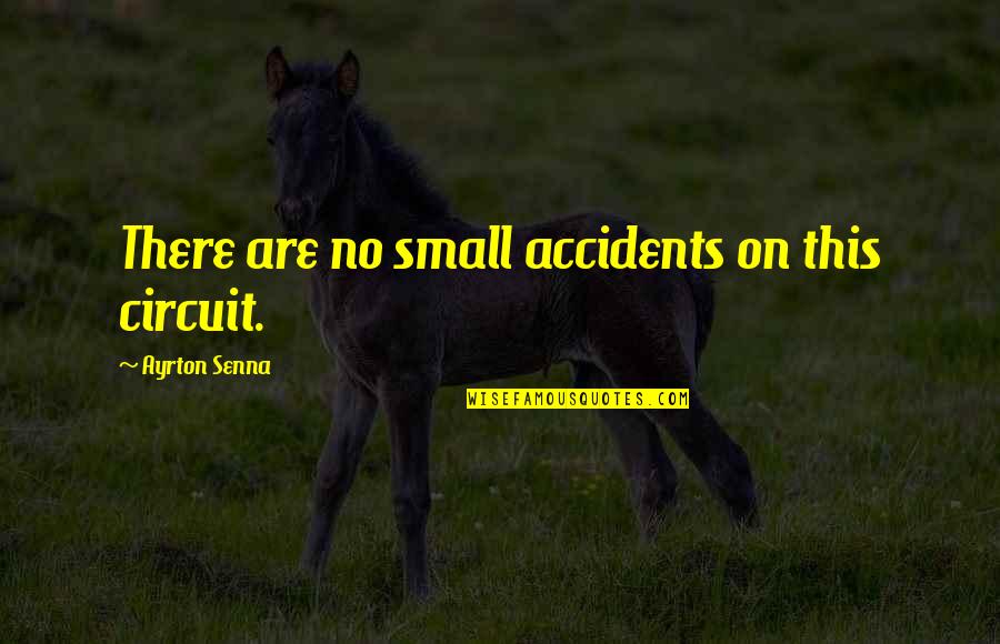 Existential Psychotherapy Quotes By Ayrton Senna: There are no small accidents on this circuit.