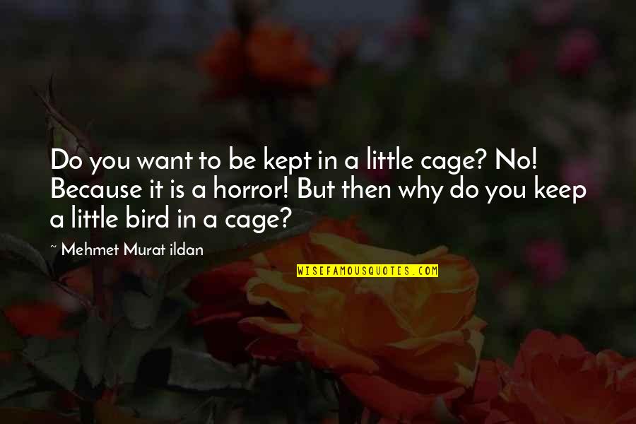 Existieron Pandemias Quotes By Mehmet Murat Ildan: Do you want to be kept in a