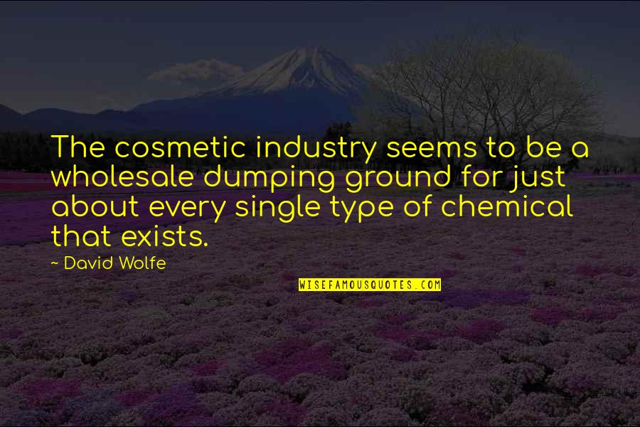 Exists Quotes By David Wolfe: The cosmetic industry seems to be a wholesale