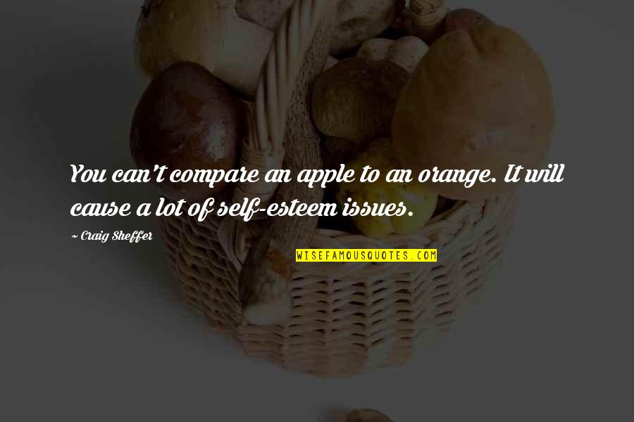 Exodia Card Quotes By Craig Sheffer: You can't compare an apple to an orange.