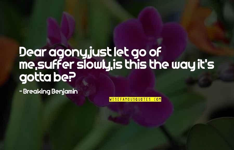 Exodus Freedom Quotes By Breaking Benjamin: Dear agony,just let go of me,suffer slowly,is this