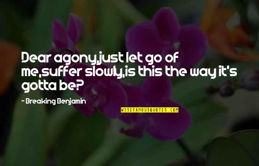 Exodus Freedom Quotes By Breaking Benjamin: Dear agony,just let go of me,suffer slowly,is this Exodus Freedom Quotes By Breaking Benjamin: Dear agony,just let go of me,suffer slowly,is this