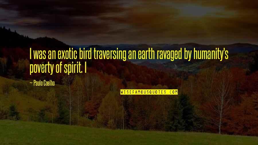 Exotic's Quotes By Paulo Coelho: I was an exotic bird traversing an earth