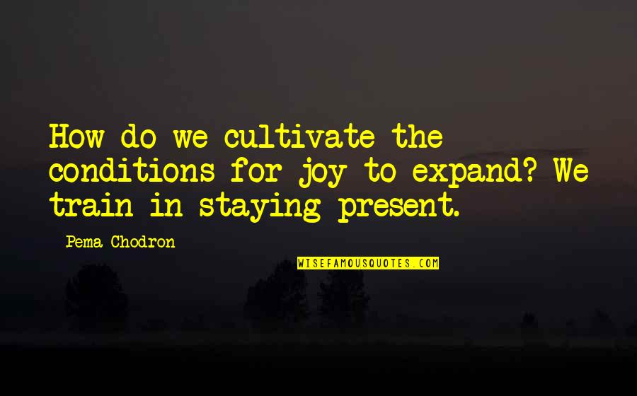 Expand Quotes By Pema Chodron: How do we cultivate the conditions for joy