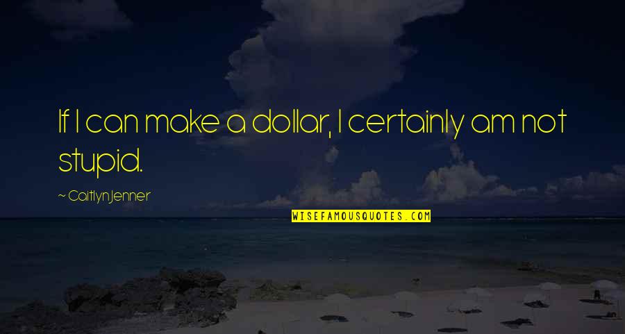 Expanding Your Life Quotes By Caitlyn Jenner: If I can make a dollar, I certainly