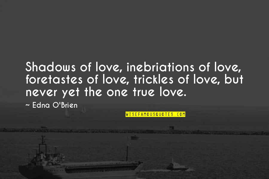 Expanse Cast Quotes By Edna O'Brien: Shadows of love, inebriations of love, foretastes of