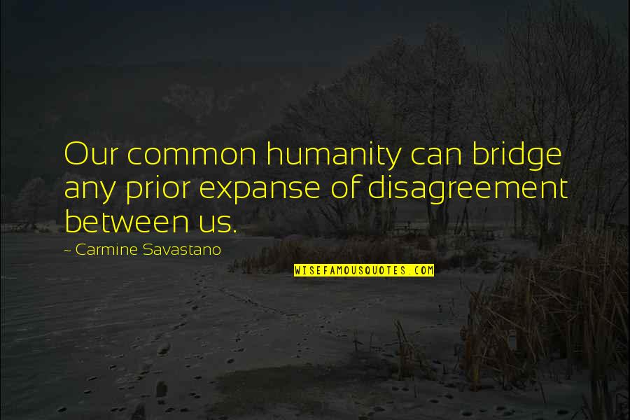 Expanse Quotes By Carmine Savastano: Our common humanity can bridge any prior expanse
