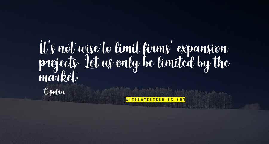 Expansion Quotes By Ciputra: It's not wise to limit firms' expansion projects.