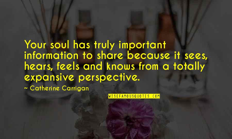 Expansive Quotes By Catherine Carrigan: Your soul has truly important information to share