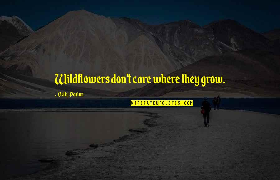 Expatiate Quotes By Dolly Parton: Wildflowers don't care where they grow. Expatiate Quotes By Dolly Parton: Wildflowers don't care where they grow.