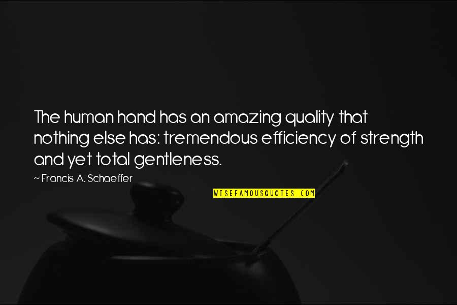 Expatriated Pronunciation Quotes By Francis A. Schaeffer: The human hand has an amazing quality that Expatriated Pronunciation Quotes By Francis A. Schaeffer: The human hand has an amazing quality that