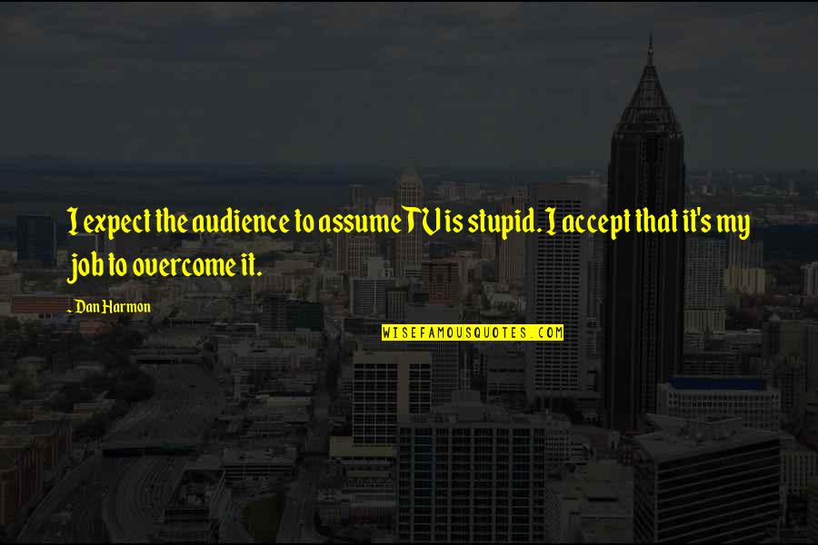 Expect Accept Quotes By Dan Harmon: I expect the audience to assume TV is