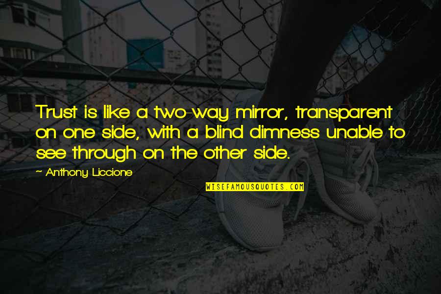 Expectation And Trust Quotes By Anthony Liccione: Trust is like a two-way mirror, transparent on