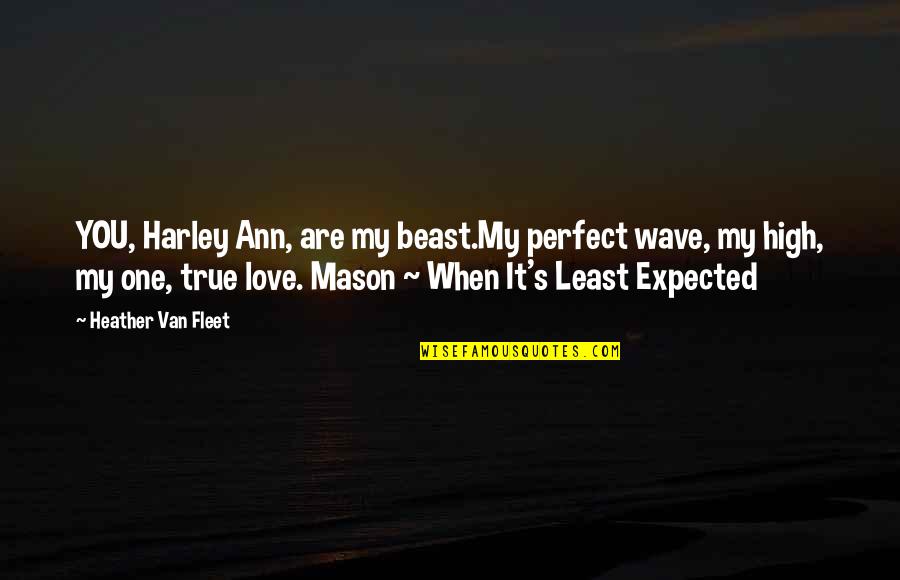 Expected Love Quotes By Heather Van Fleet: YOU, Harley Ann, are my beast.My perfect wave,