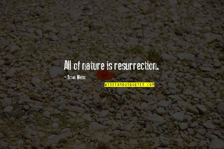 Expecting Good Things To Happen Quotes By Brian Weiss: All of nature is resurrection.