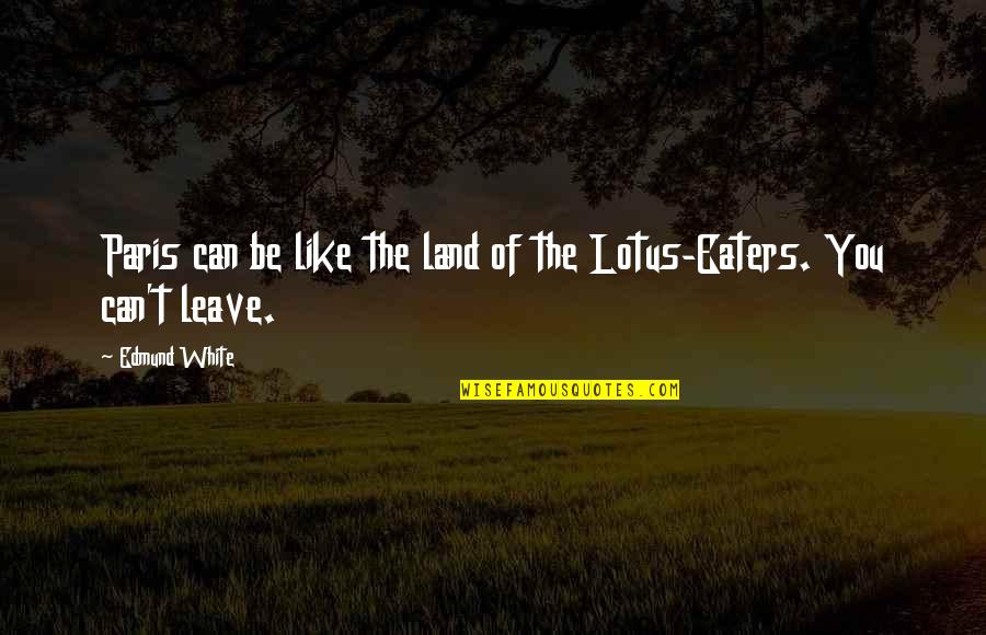 Expecting Love From Someone Quotes By Edmund White: Paris can be like the land of the