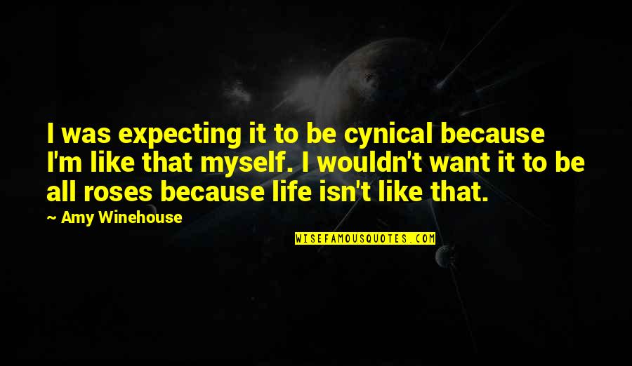 Expecting More From Life Quotes By Amy Winehouse: I was expecting it to be cynical because