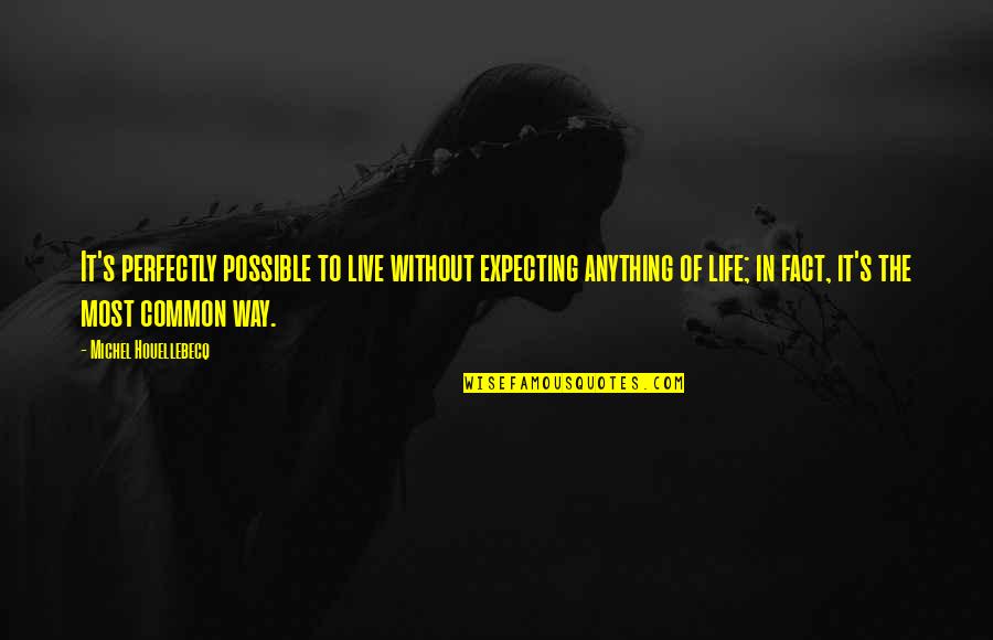 Expecting More From Life Quotes By Michel Houellebecq: It's perfectly possible to live without expecting anything