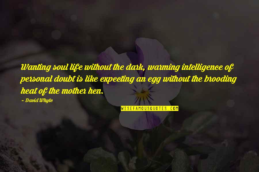 Expecting Mother Quotes By David Whyte: Wanting soul life without the dark, warming intelligence