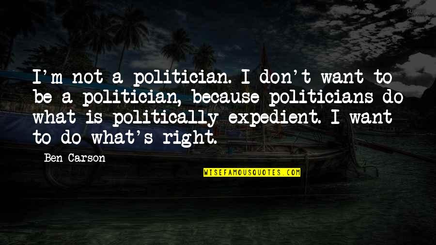 Expedient Quotes By Ben Carson: I'm not a politician. I don't want to