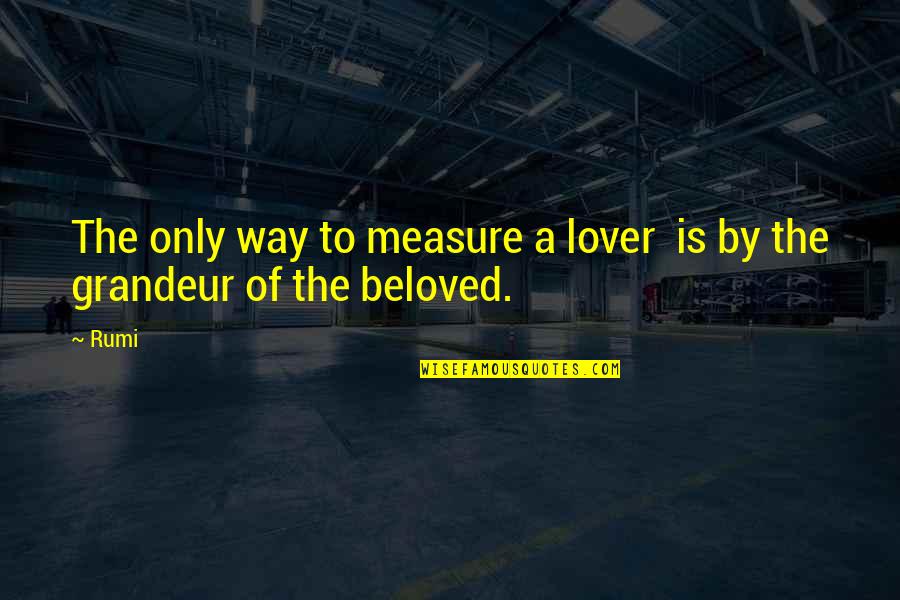 Expeditionary Learning Quotes By Rumi: The only way to measure a lover is