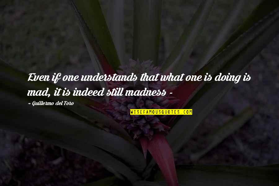 Expence Quotes By Guillermo Del Toro: Even if one understands that what one is