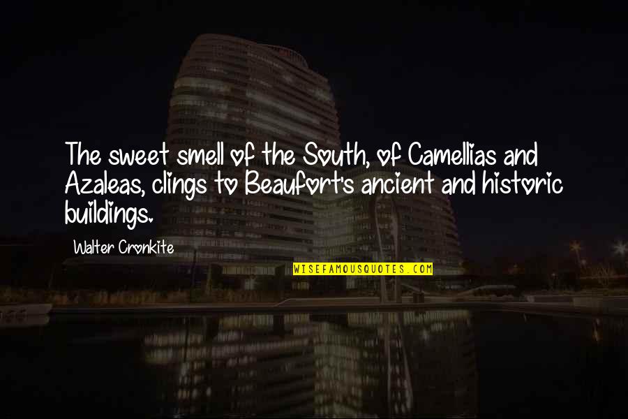 Expence Quotes By Walter Cronkite: The sweet smell of the South, of Camellias