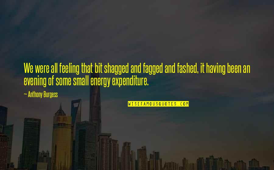 Expenditure Quotes By Anthony Burgess: We were all feeling that bit shagged and