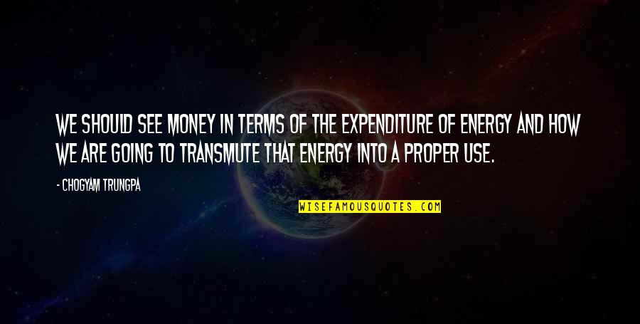 Expenditure Quotes By Chogyam Trungpa: We should see money in terms of the