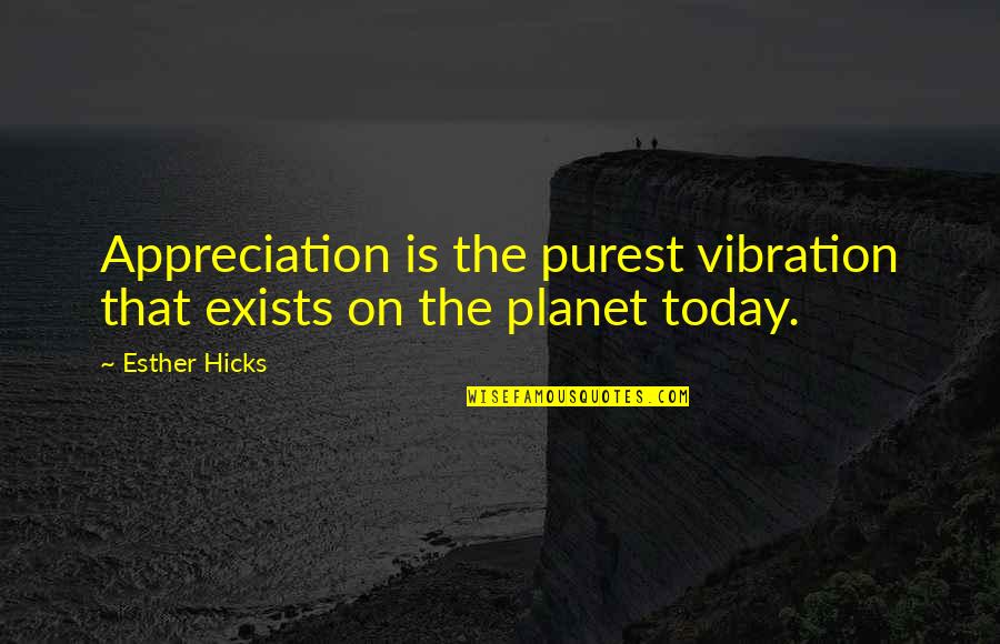 Expensas Definicion Quotes By Esther Hicks: Appreciation is the purest vibration that exists on