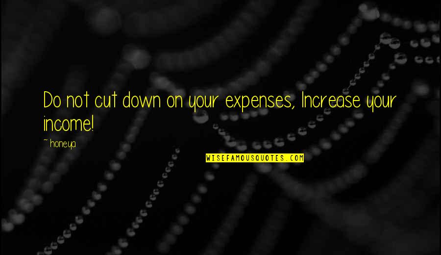 Expenses Quotes By Honeya: Do not cut down on your expenses, Increase