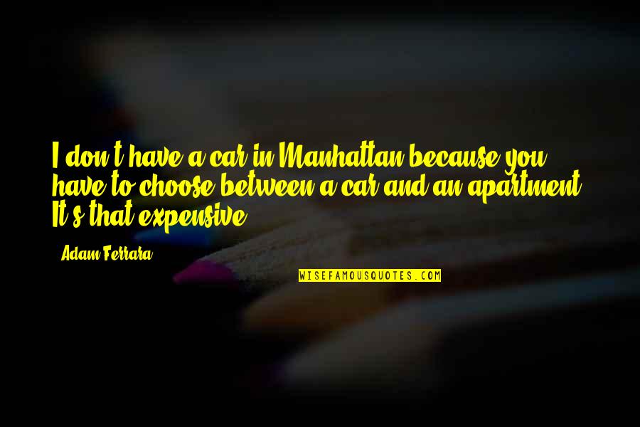 Expensive Car Quotes By Adam Ferrara: I don't have a car in Manhattan because