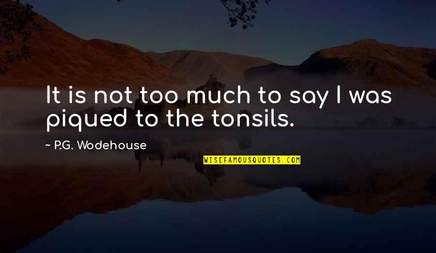 Expereince Quotes By P.G. Wodehouse: It is not too much to say I