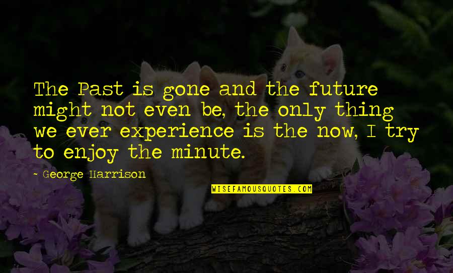 Experience And Future Quotes By George Harrison: The Past is gone and the future might