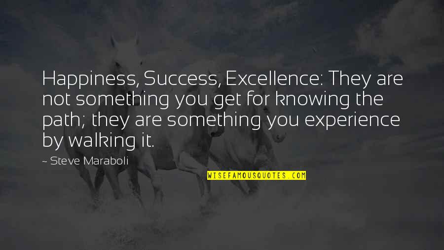 Experience And Success Quotes By Steve Maraboli: Happiness, Success, Excellence: They are not something you