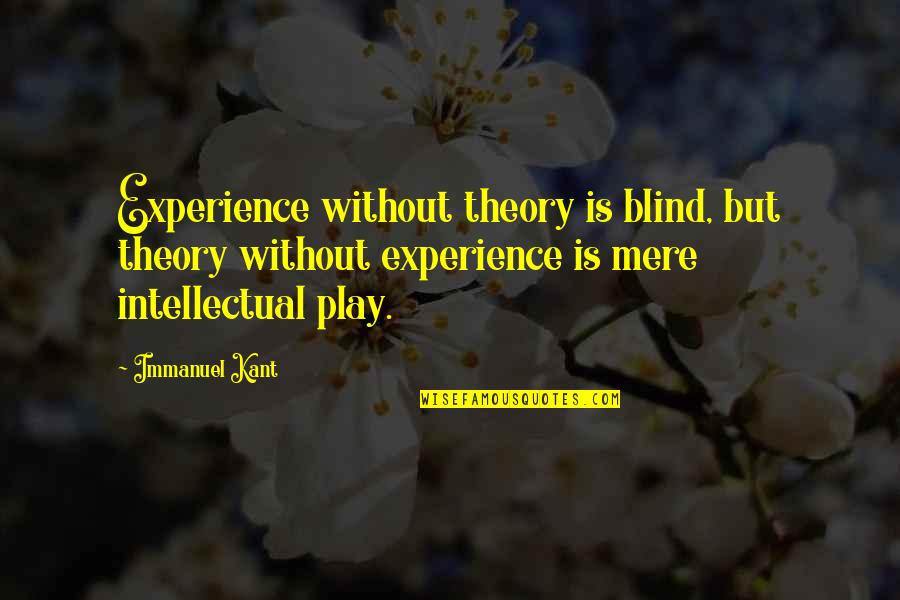 Experience And Theory Quotes By Immanuel Kant: Experience without theory is blind, but theory without