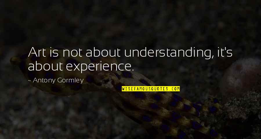 Experience And Understanding Quotes By Antony Gormley: Art is not about understanding, it's about experience.
