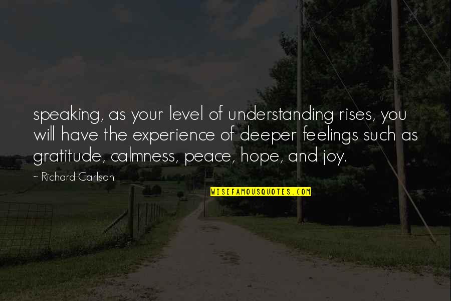Experience And Understanding Quotes By Richard Carlson: speaking, as your level of understanding rises, you