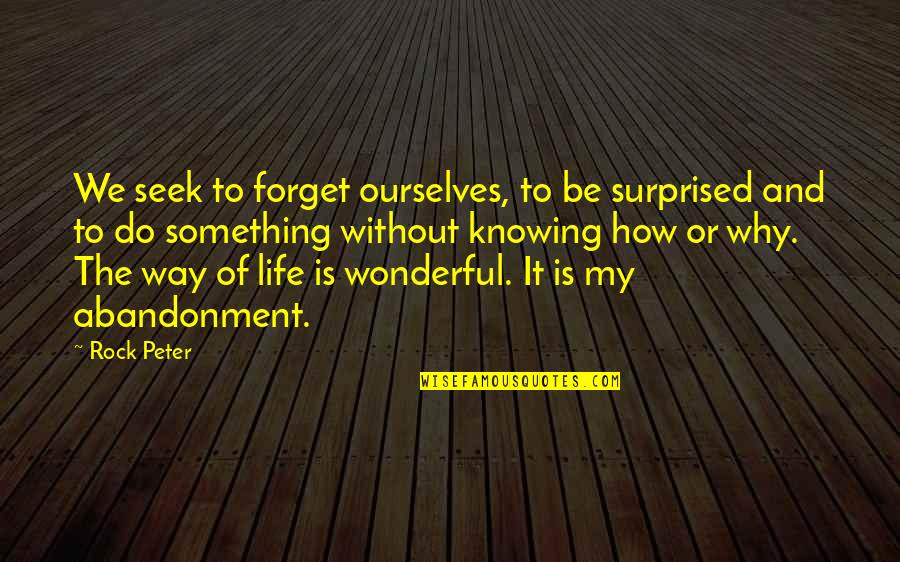 Experience And Wisdom Quotes By Rock Peter: We seek to forget ourselves, to be surprised