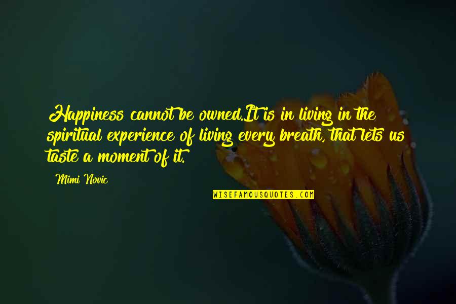 Experience Experience Quotes By Mimi Novic: Happiness cannot be owned.It is in living in