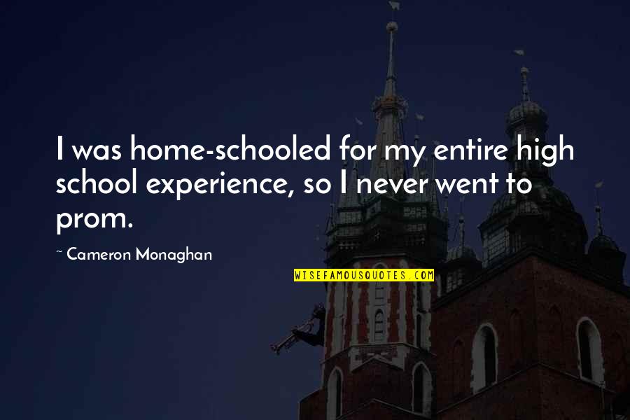 Experience In High School Quotes By Cameron Monaghan: I was home-schooled for my entire high school