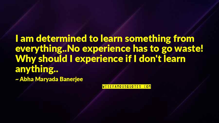 Experience Is Not Everything Quotes By Abha Maryada Banerjee: I am determined to learn something from everything..No