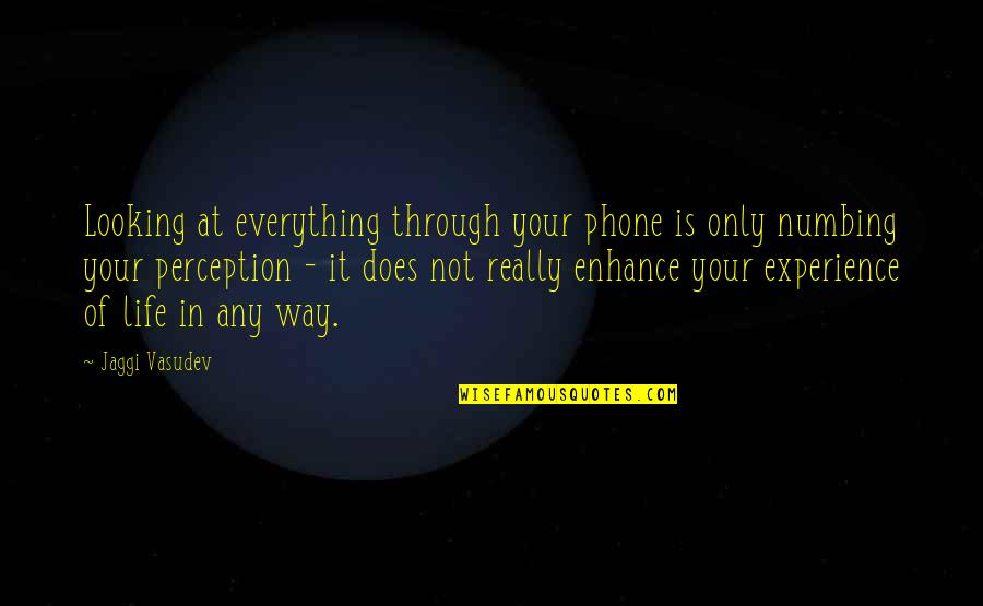 Experience Is Not Everything Quotes By Jaggi Vasudev: Looking at everything through your phone is only