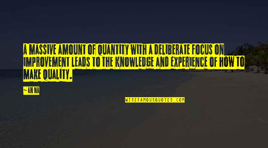 Experience Knowledge Quotes By An Na: A massive amount of quantity with a deliberate