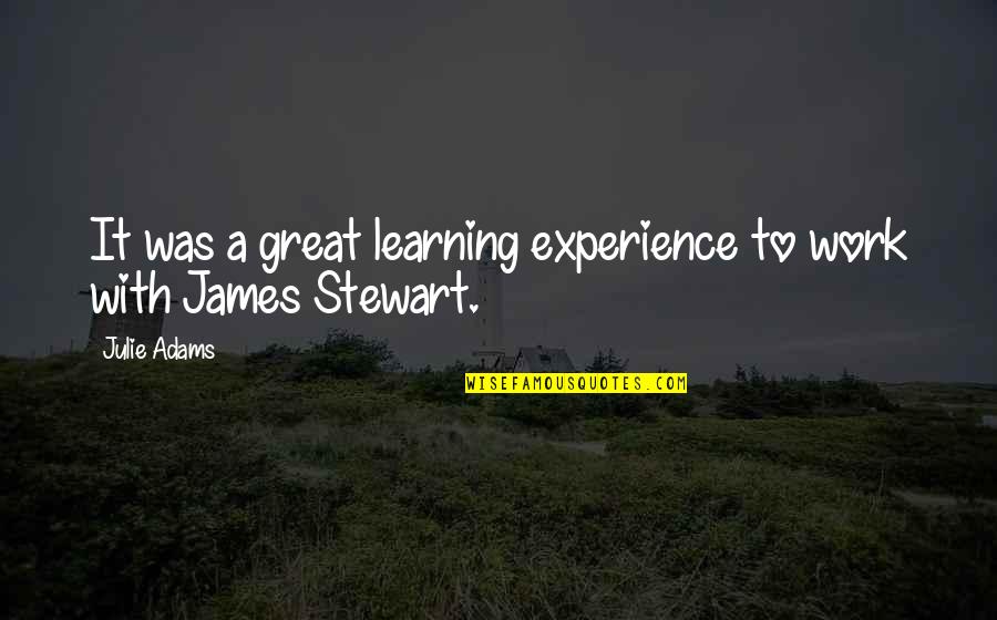 Experience Learning Quotes By Julie Adams: It was a great learning experience to work