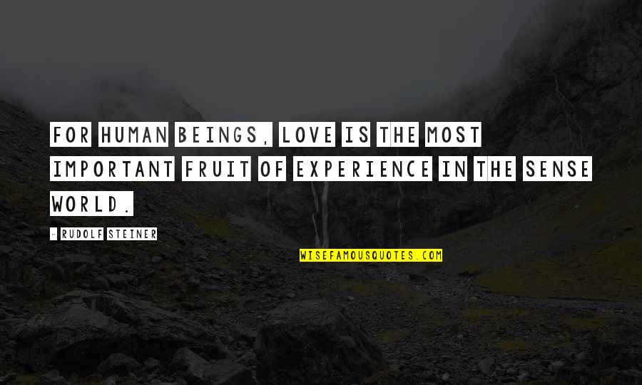 Experience Of Love Quotes By Rudolf Steiner: For human beings, love is the most important