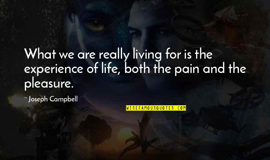 Experience Of Pleasure And Pain Quotes By Joseph Campbell: What we are really living for is the