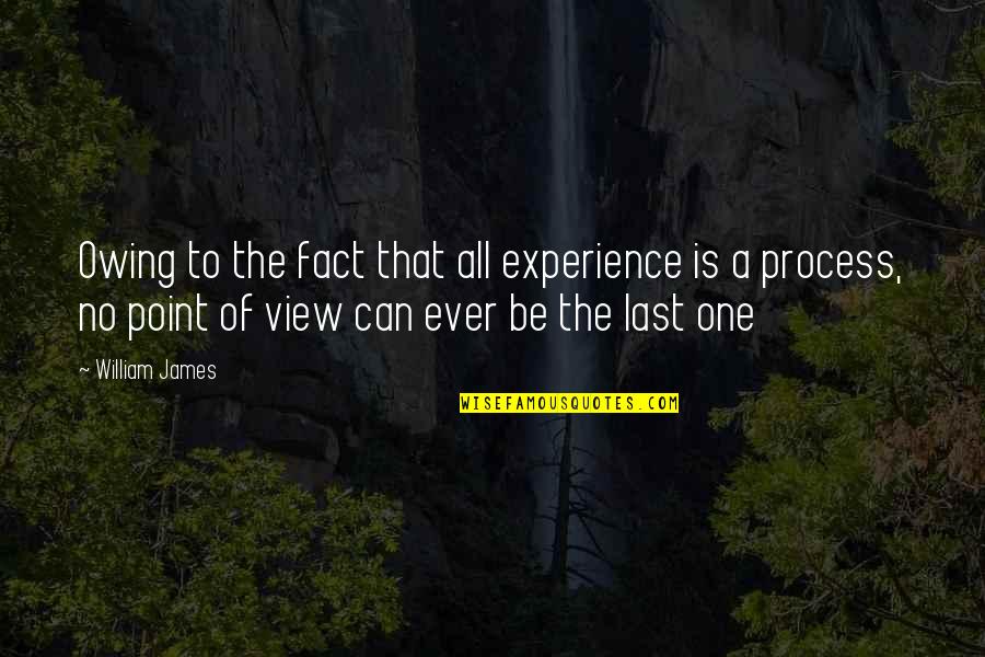 Experience Of Truth Quotes By William James: Owing to the fact that all experience is