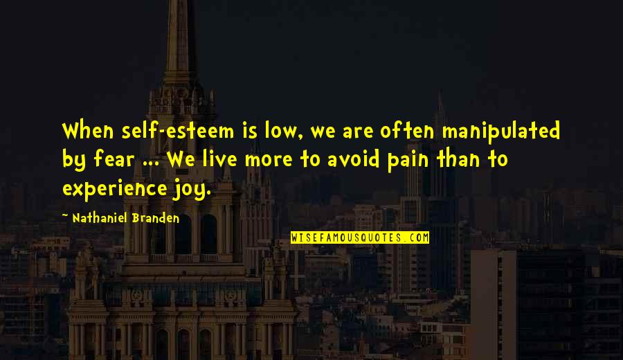 Experience Quotes By Nathaniel Branden: When self-esteem is low, we are often manipulated